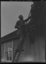 Image of Man on ladder by frame building reaches for tree limb